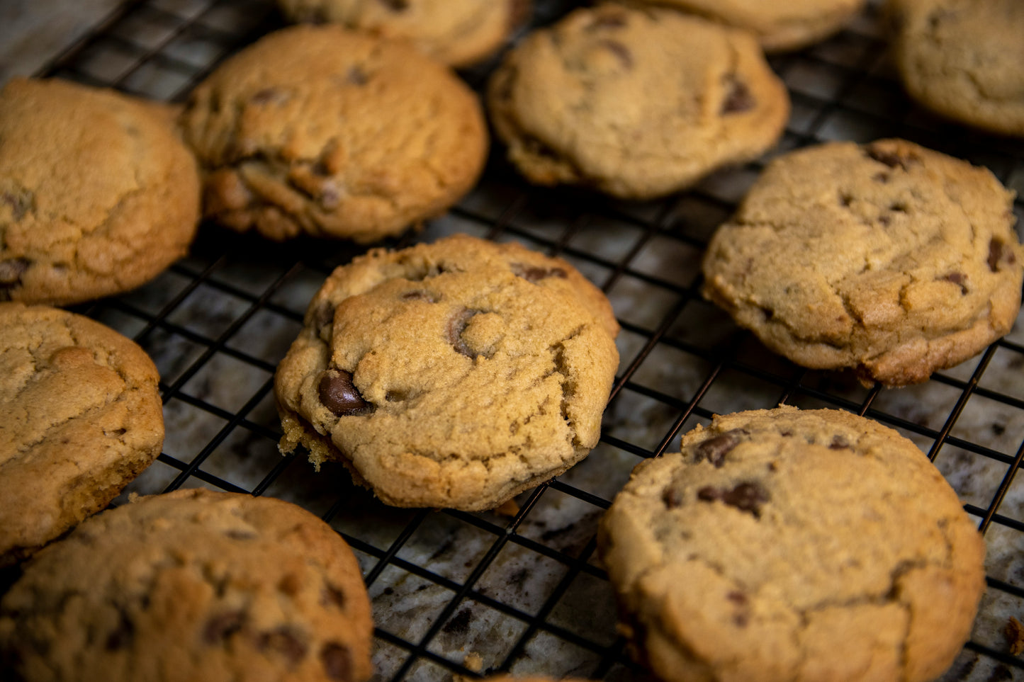 Chocolate Chip