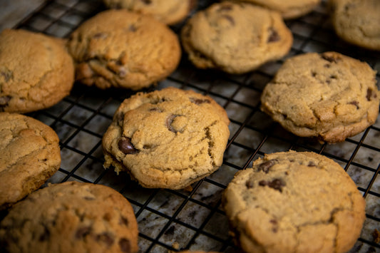 Chocolate Chip